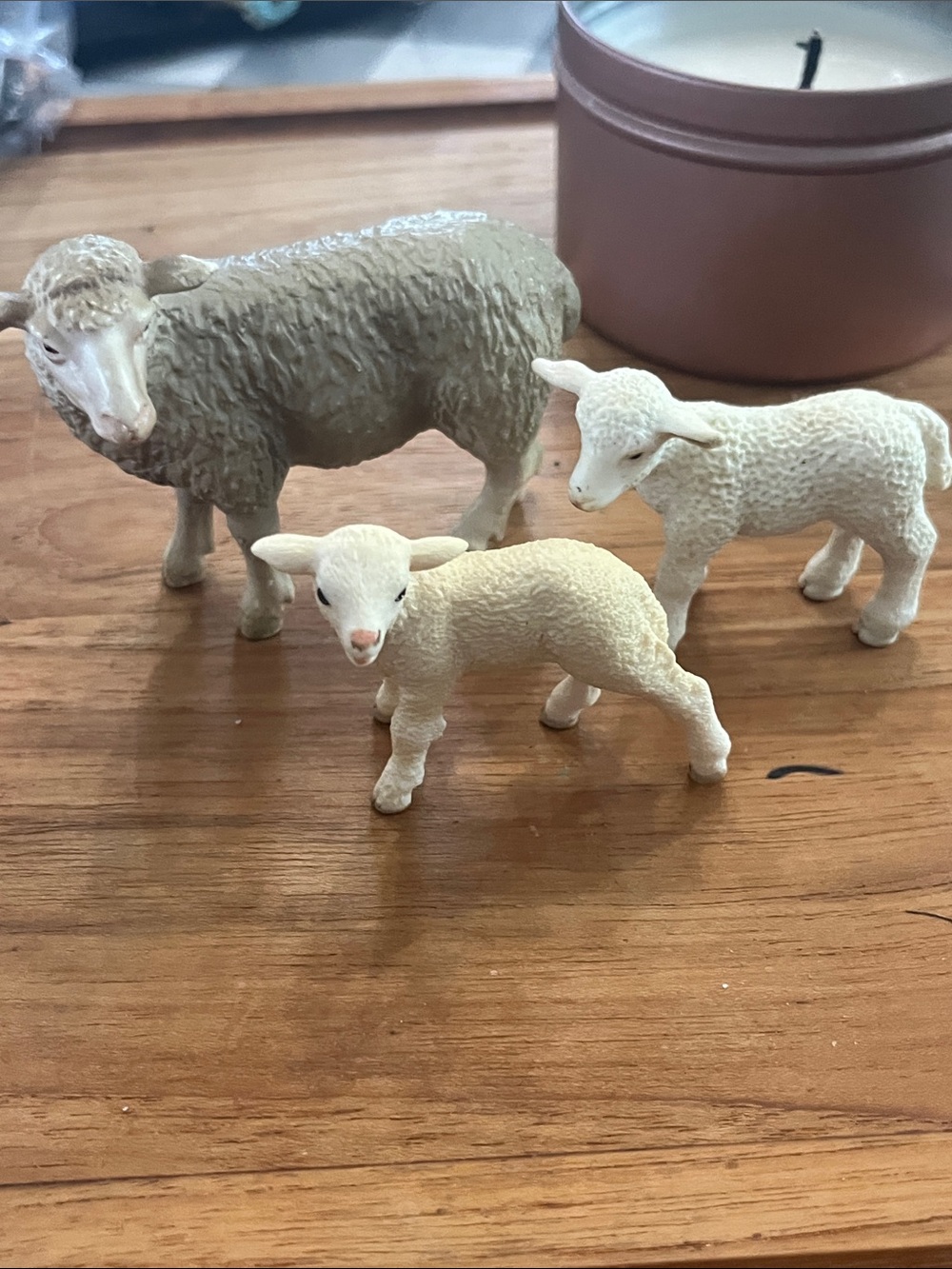 Schleich Sheep Figurine Trio - Cream & Tan